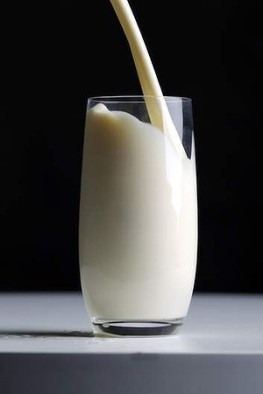 ml-sp-353-milk-20130307162153333167-300x0